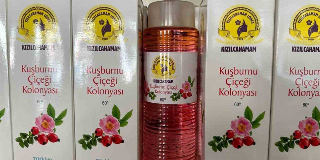 Kızılcahamam’da çamdan sonra kuşburnunun da kolonyası yapıldı