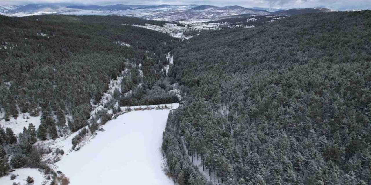 Ankara’da dondurucu soğuklar nedeniyle buz tutan gölet görenleri hayran bırakıyor