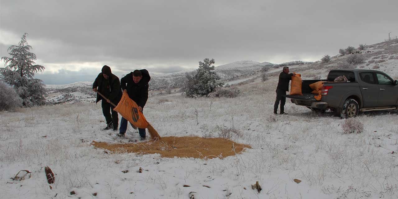 Kırıkkale’de yaban hayvanları unutulmadı