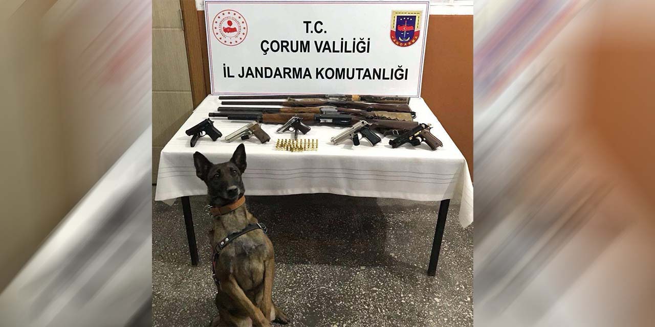 Jandarmadan ruhsatsız silah operasyonu