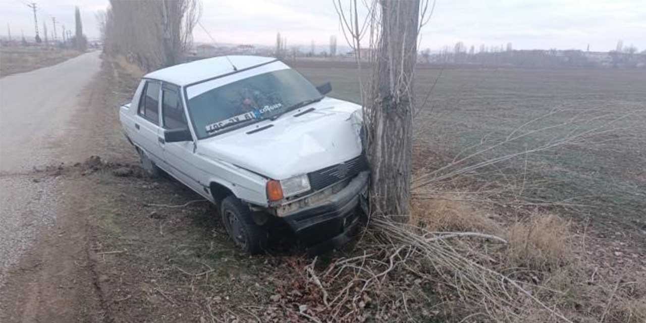 Köpeğe çarpmamak için manevra yapan araç ağaca çarptı: 1 yaralı