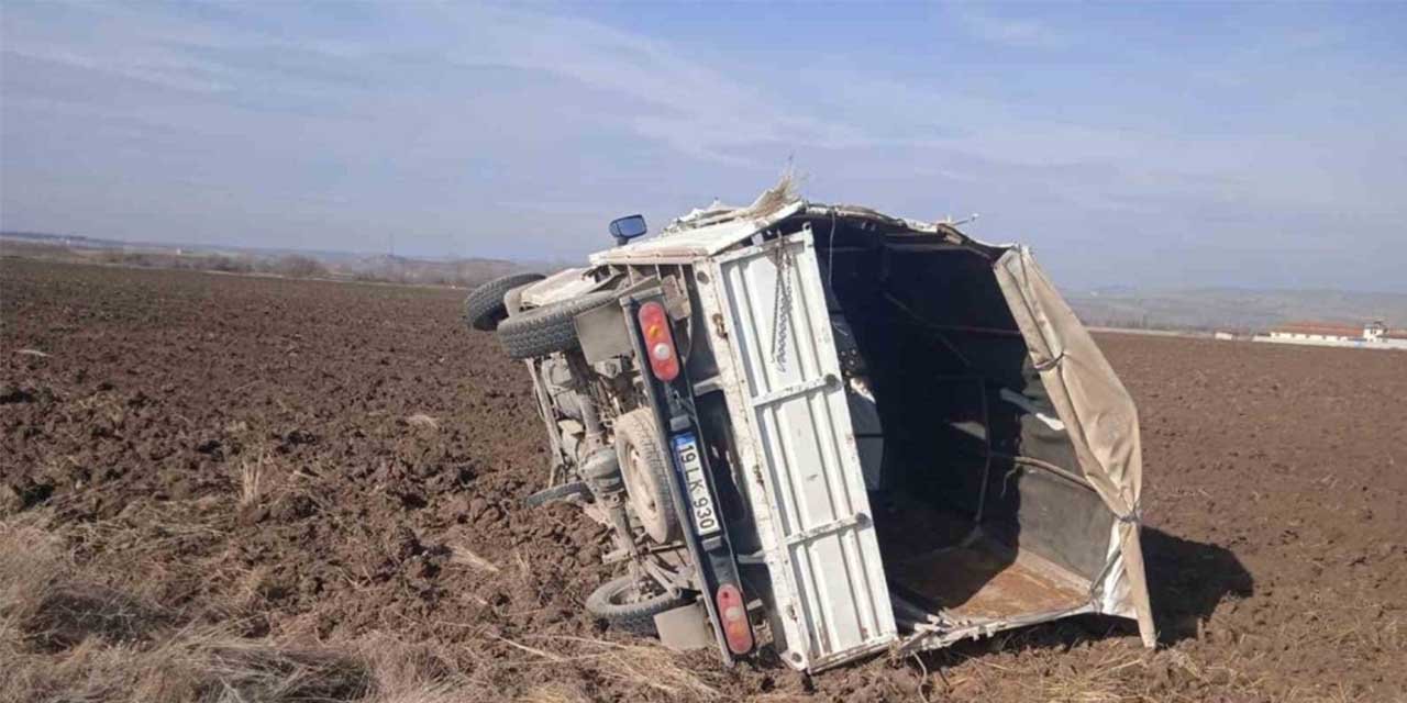 Kontrolden çıkan kamyonet tarlaya uçtu: 1 yaralı