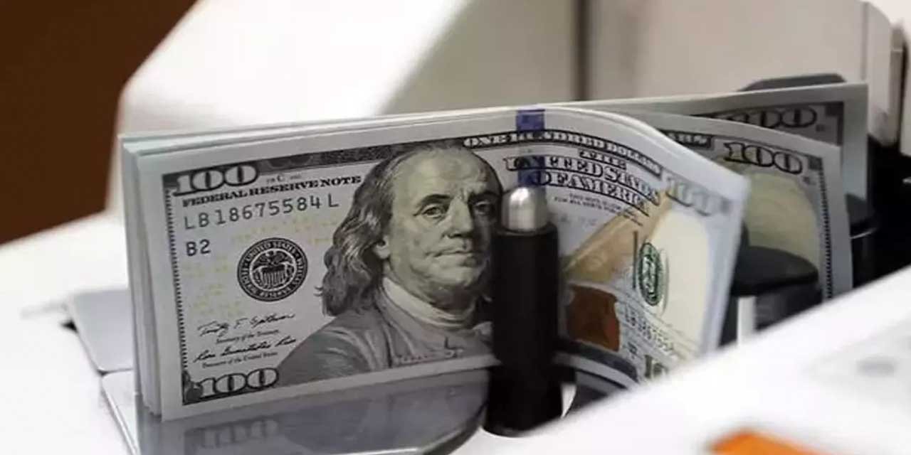 Dolar ne kadar? (20.02.2024)