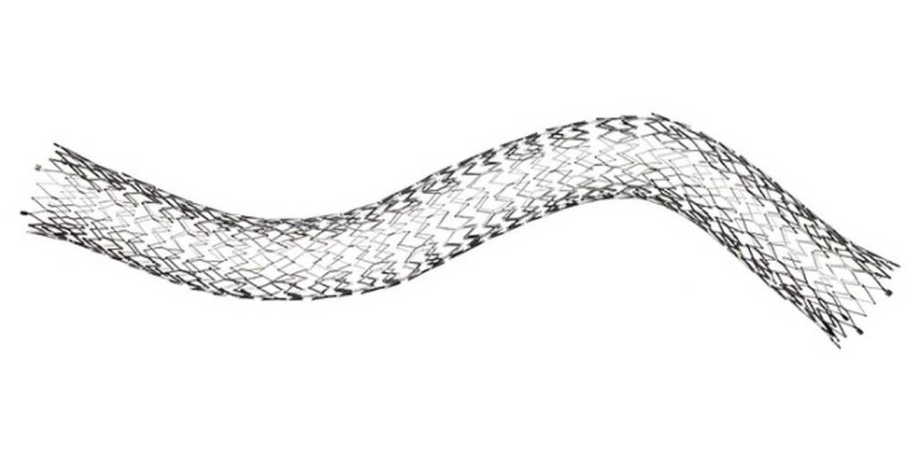 INVAMED Venöz Stent üretti