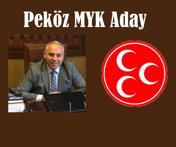 Abdullah Peköz MYK Aday