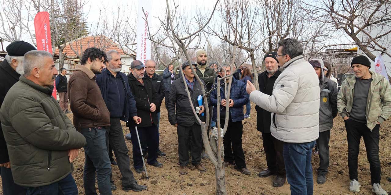 Kırıkkale’de çiftçilere budama eğitimi verildi