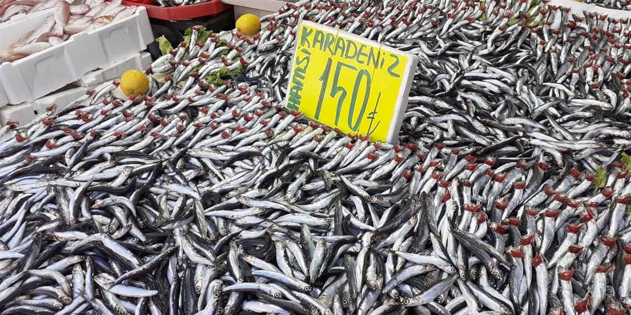 Kırıkkale’de hamsinin kilosu 150 TL oldu