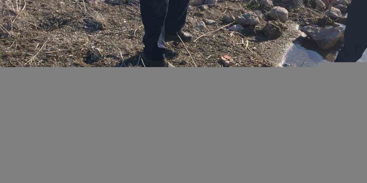 Koçhisar barajında 2 bin 700 metre ağ yakalandı