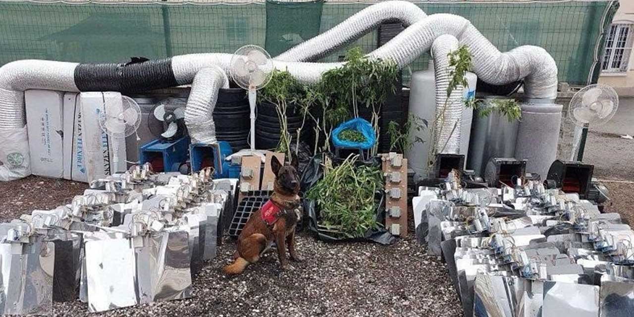 Uyuşturucu madde imalatı yapan kişi yakalandı