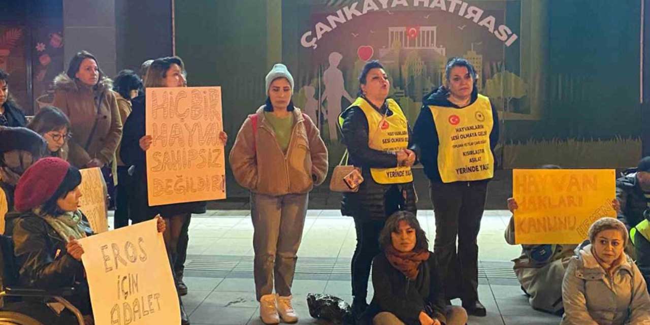 ’Eros’ isimli kediyle ilgili davadan çıkan karara tepki