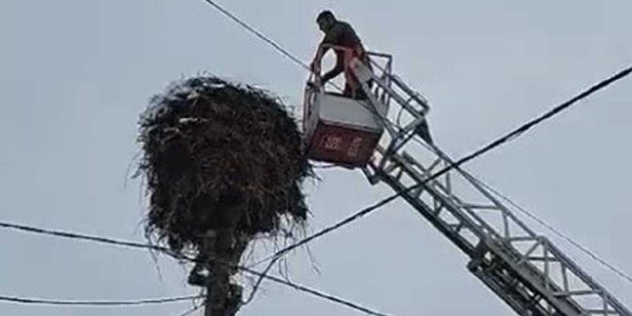 Kara yakalanan leylekleri itfaiye ekipleri besledi