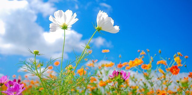 Başkan Tekin’den Nevruz mesajı