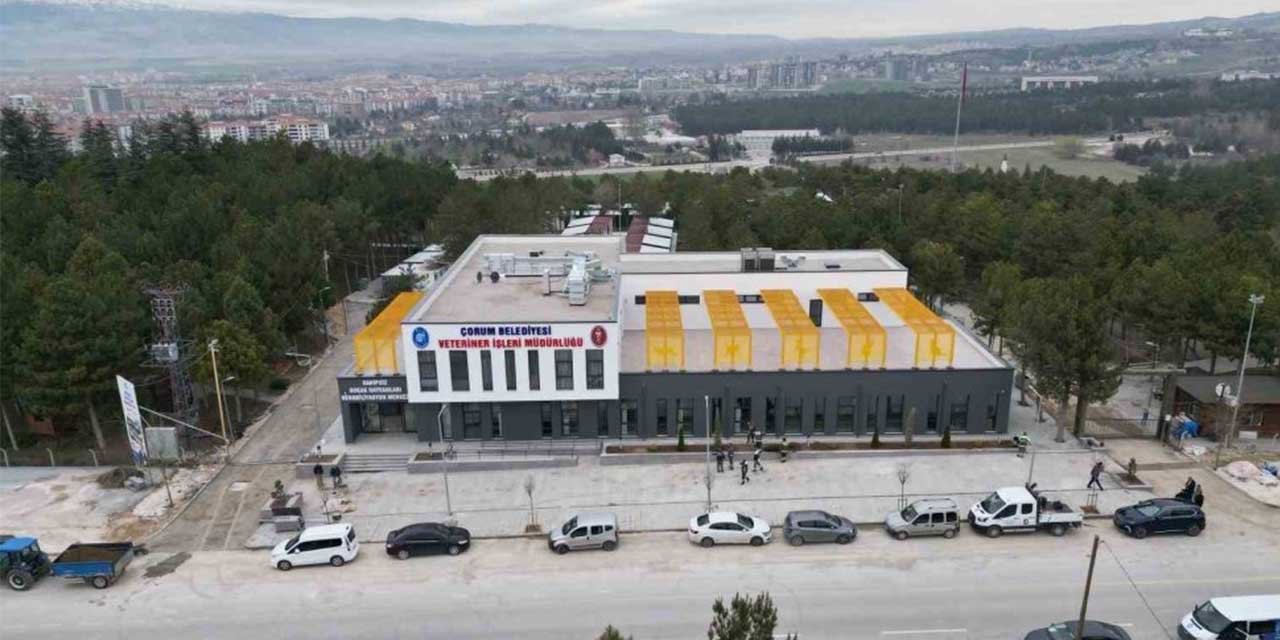 Bölgenin modern hayvan hastanesi açılıyor