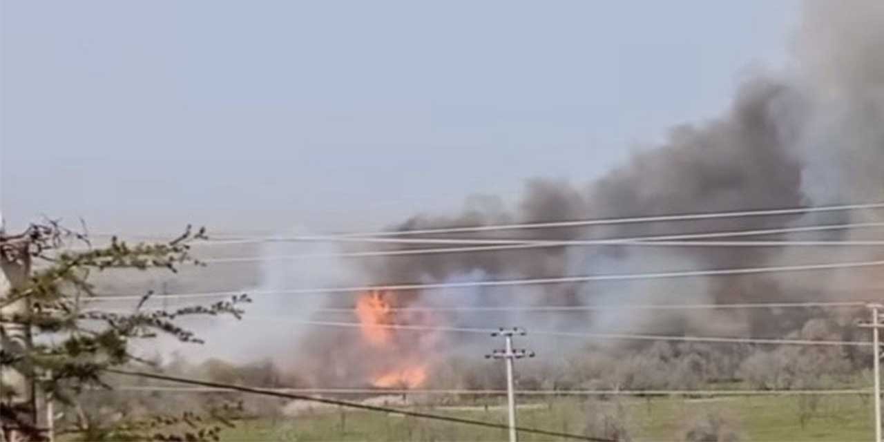 Çankırı’da orman yangını