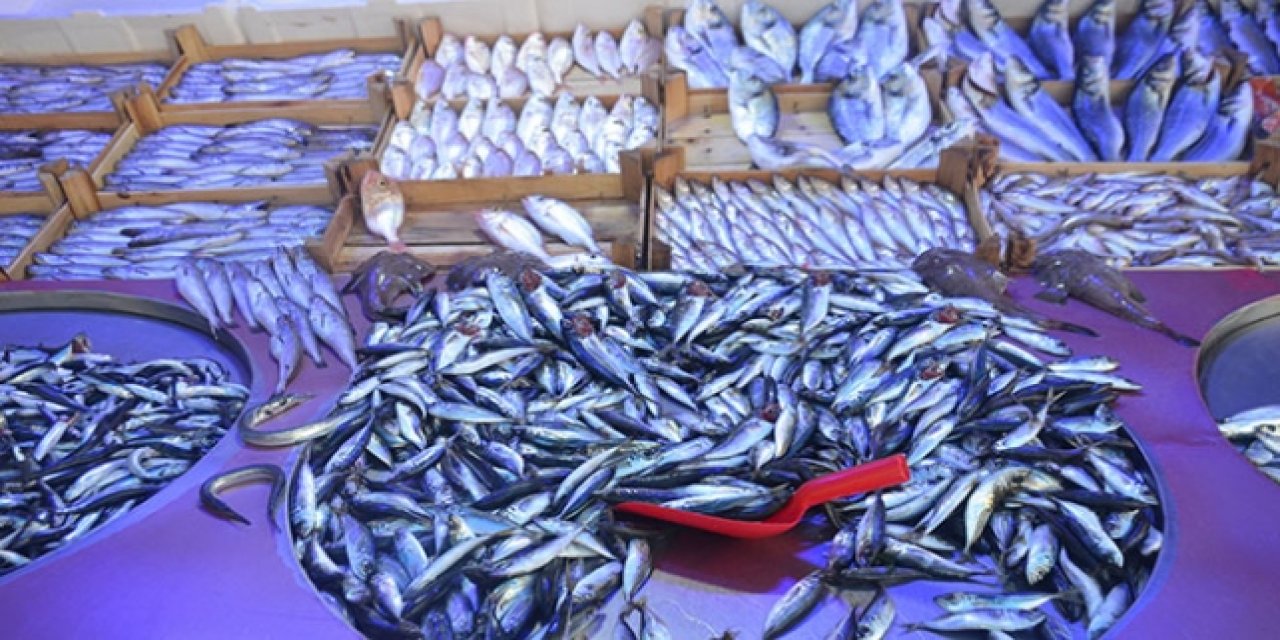 Balıkçılık av sezonu 15 Nisan’da kapanıyor