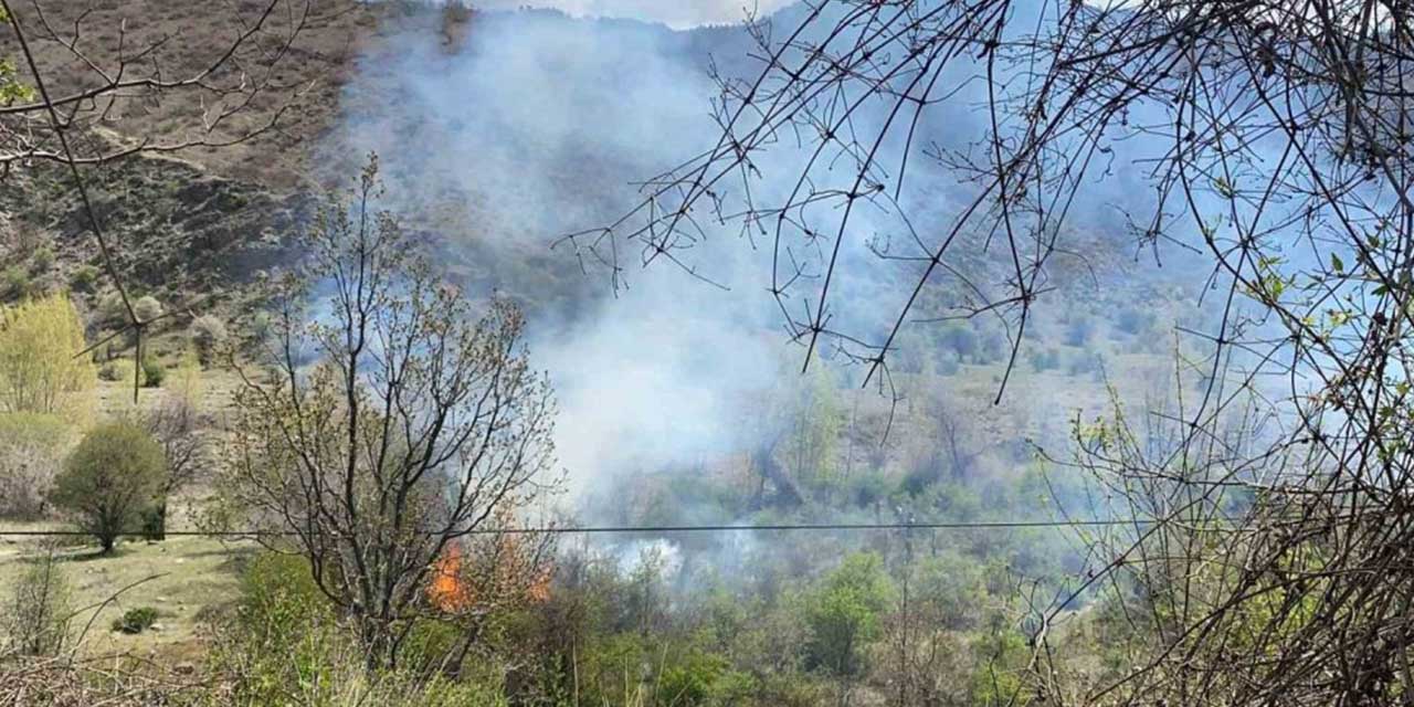 Çankırı’da orman yangını