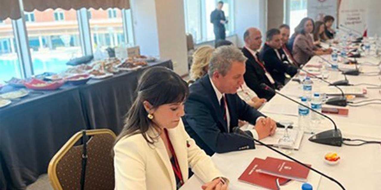 Ankara’da "Konuşma Dili Olarak Türkçe Çalıştayı" düzenlendi