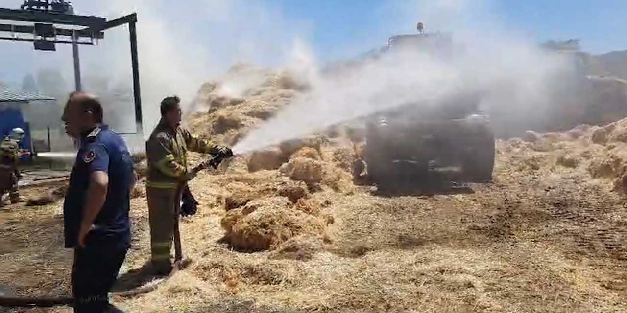 Kırıkkale’de mandıra yangını korkuttu!