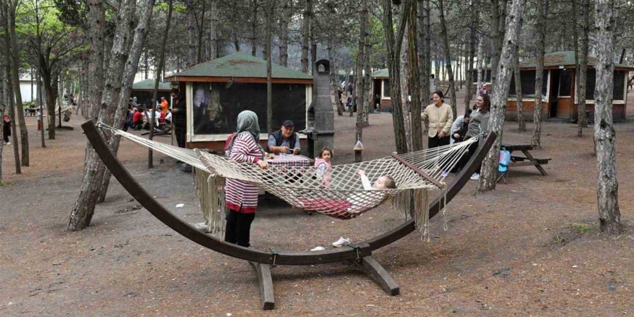 Piknikçilerin yeni gözdesi Park Ankara