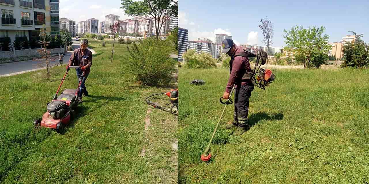 Kırıkkale’de yabani ot temizliği yapılıyor