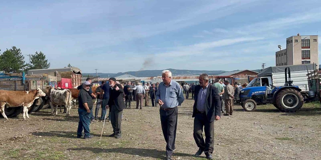 Kastamonu’da hayvan pazarında hareketlilik