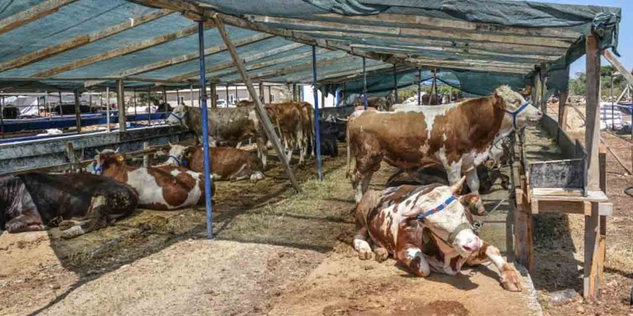 Kırıkkale’de kurban kesim yerleri belli oldu