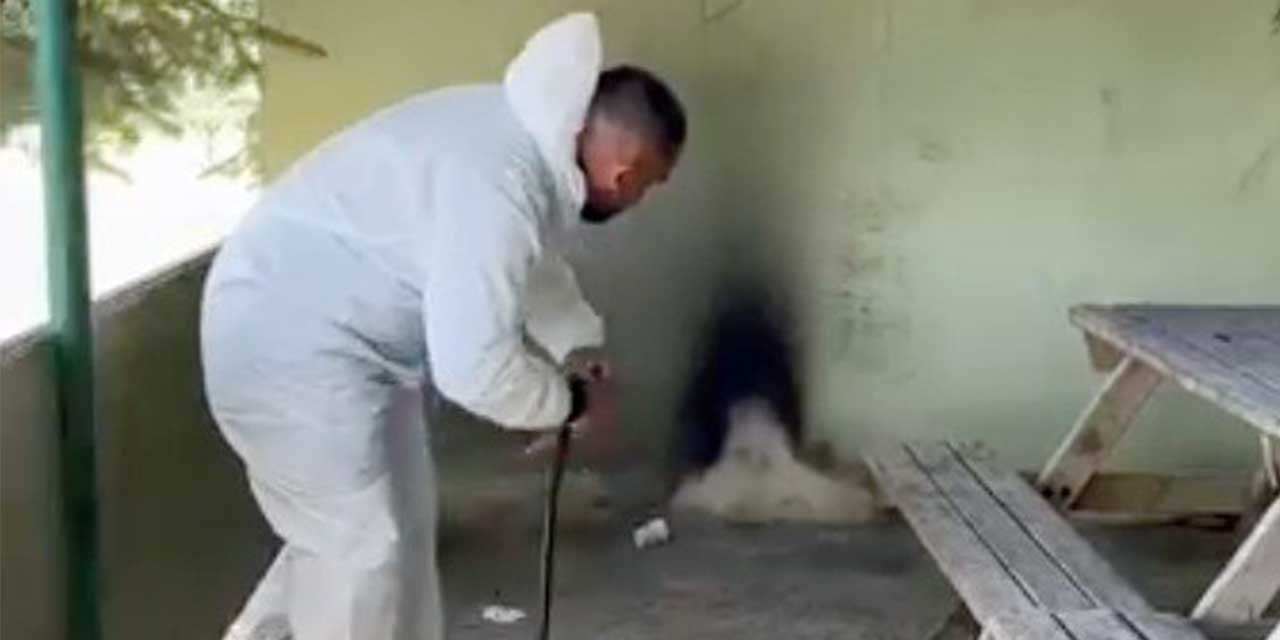 Sıcaklar arttı, ilaçlama çalışmaları başladı