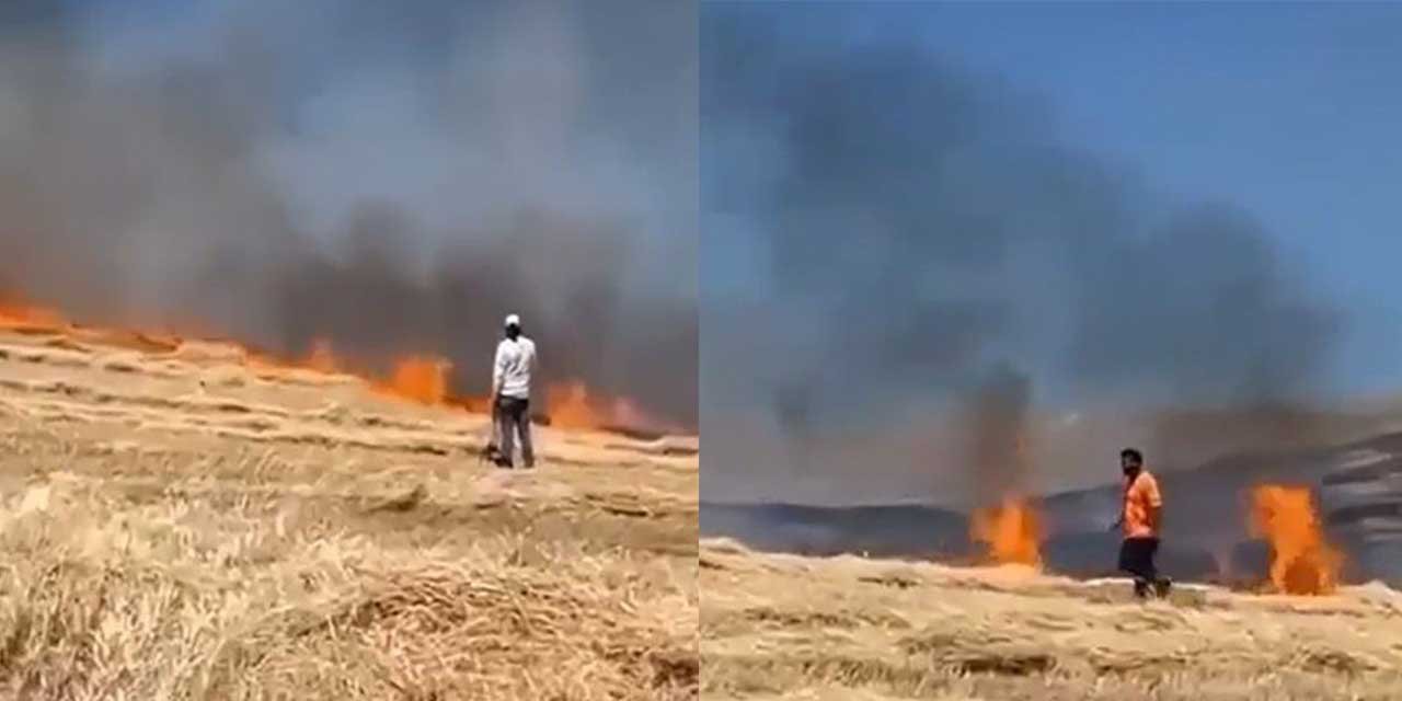 Balya makinesinden çıkan yangında 20 dönümlük tarla zarar gördü