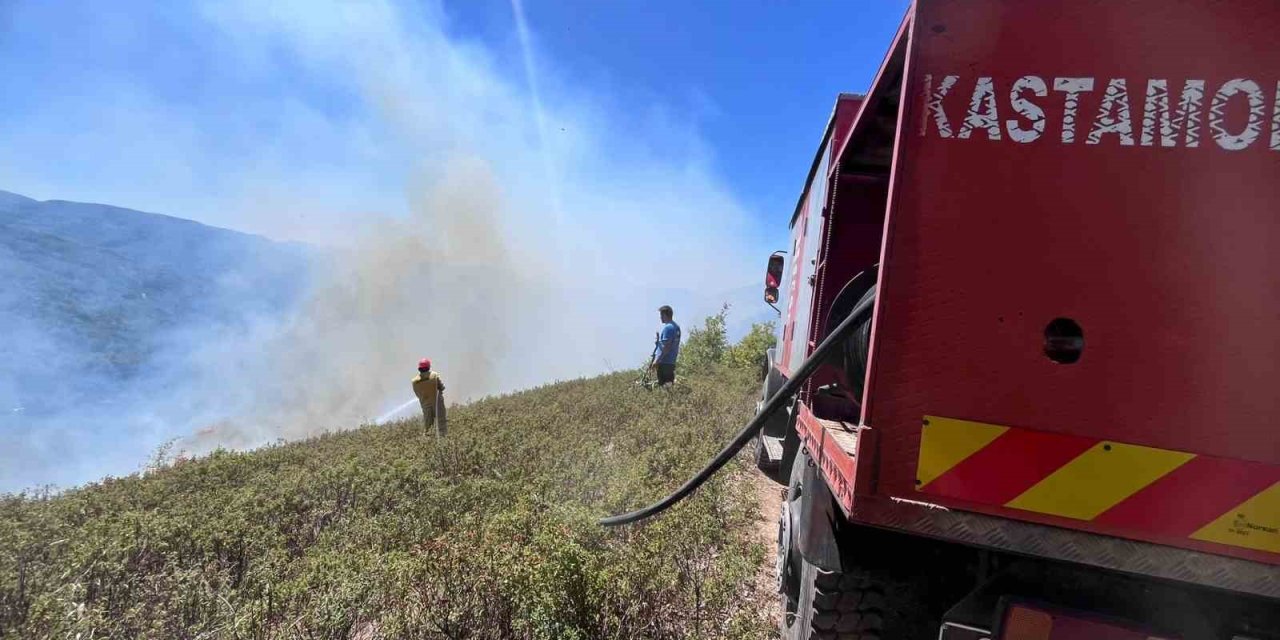Kastamonu’da orman yangını