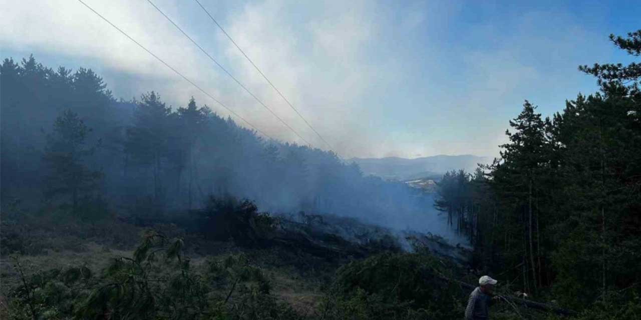 Kastamonu’da orman yangını!