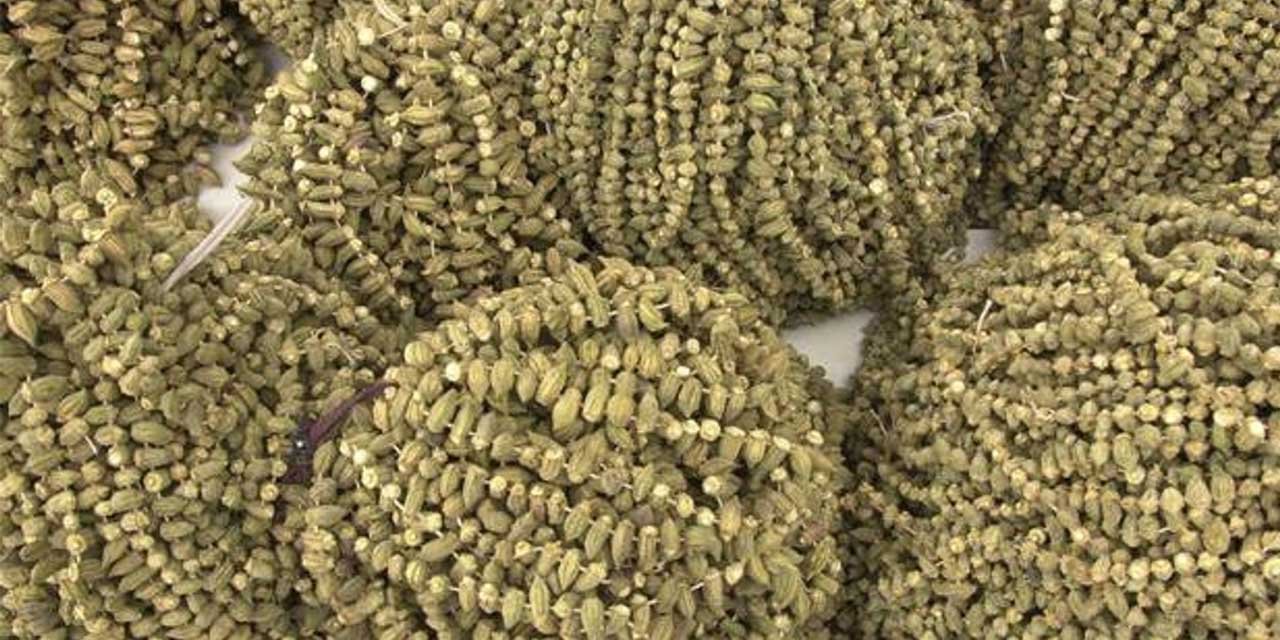 Kırıkkale’de kilosu adeta altınla yarışıyor!