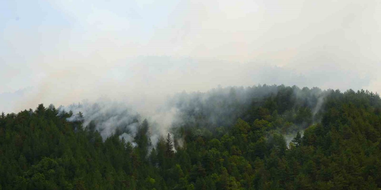 Orman yangınına müdahale sürüyor