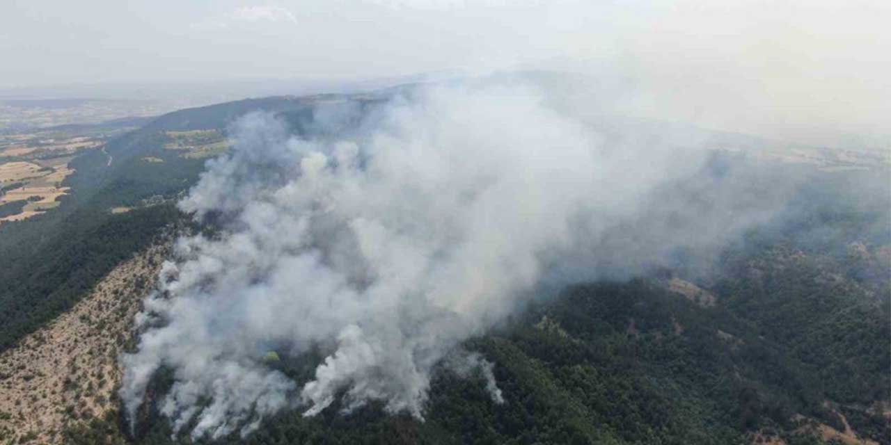 Kastamonu’daki orman yangını sürüyor: Havadan görüntülendi