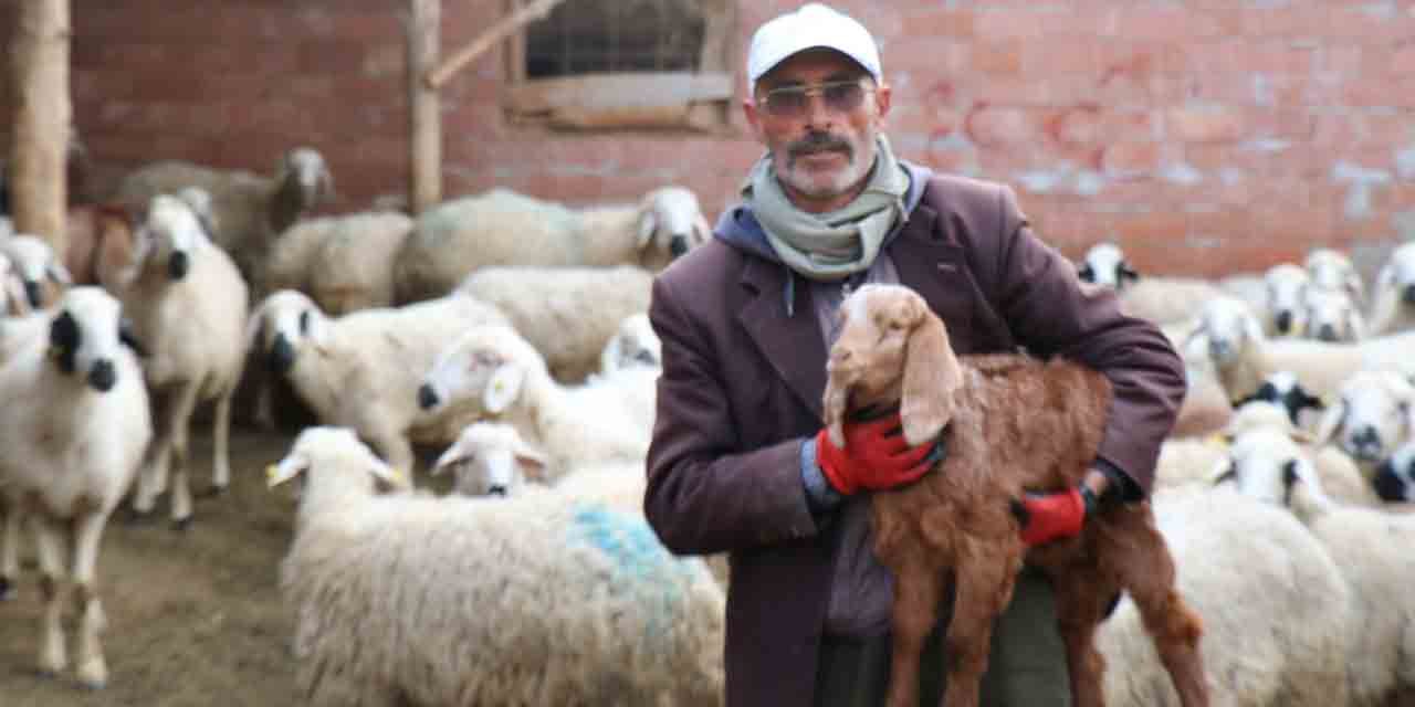 Fenomen muhtarın davasında şüphelilerin ifadeleri ortaya çıktı