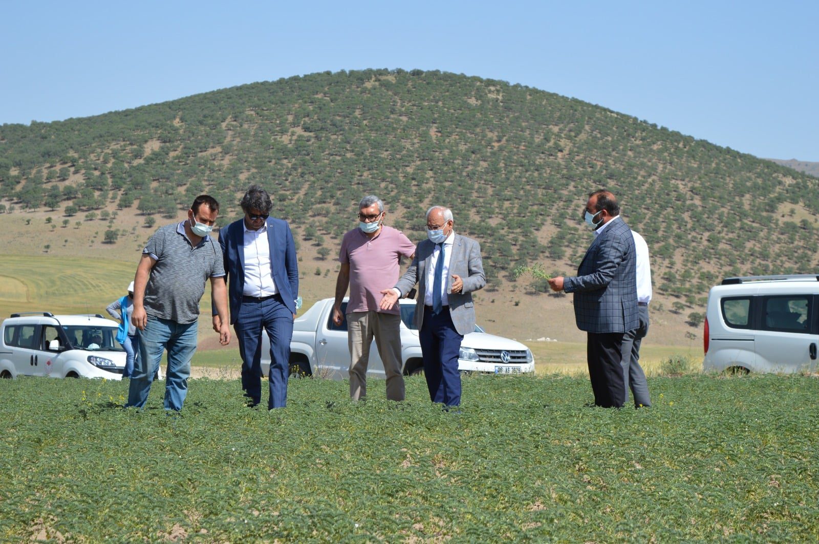 Karakeçili'de tıbbı ve aromatik bitkiler demonstrasyon çalışması