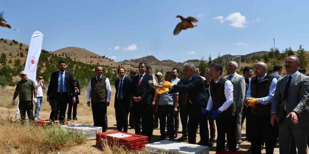 Üniversite kampüs alanına keklik bırakıldı