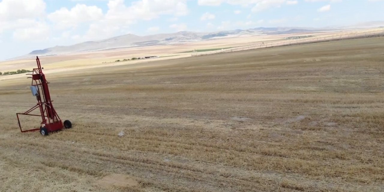 Tarlalarda fare paniği: İlaçlar yetersiz kalıyor