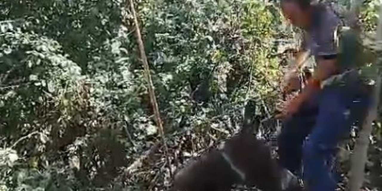 Su deposuna düşen eşeği köylüler kurtardı