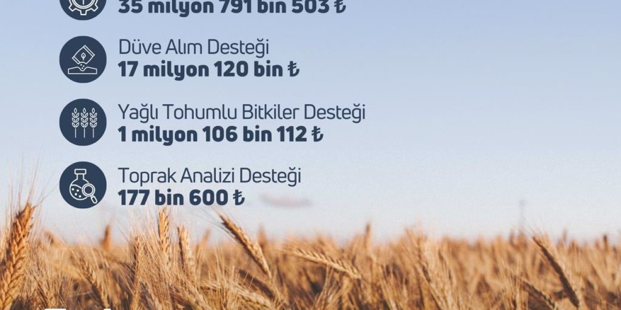 Tarım ve Orman Bakanlığı: “119,1 milyon liralık tarımsal destek ödemesi hesaplara aktarıldı”