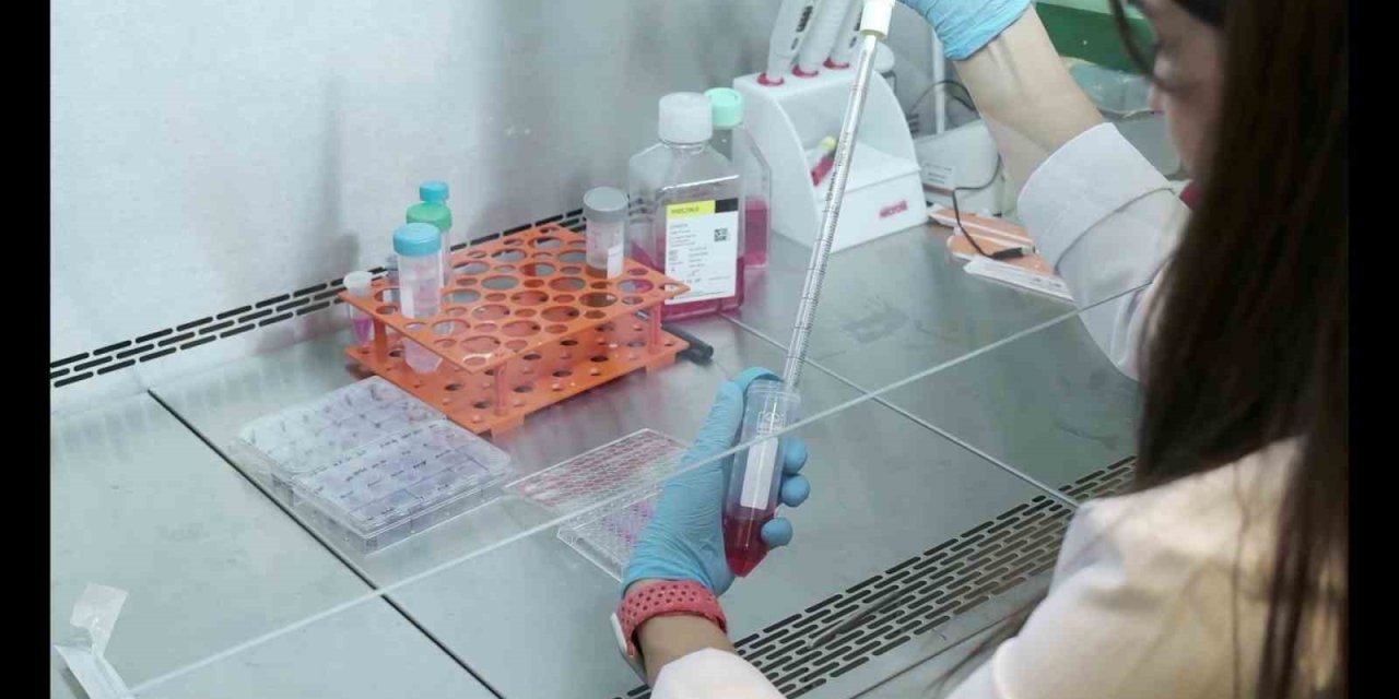 Kalp krizi sonrası hasarlı dokuyu iyileştirecek biyomalzeme geliştirilecek