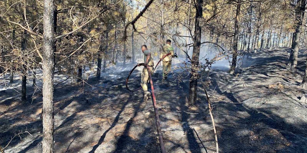 Orman yangını kontrol altına alındı