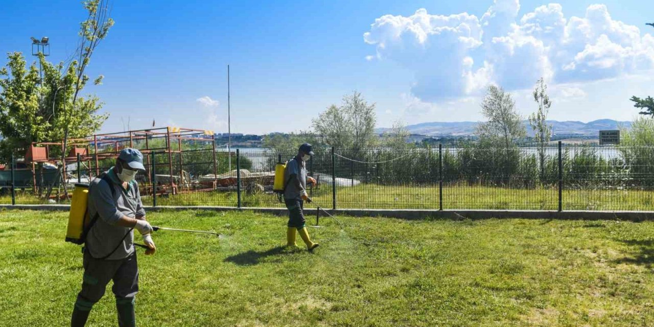 Ankara Büyükşehir parklarda vektörle mücadele ve temizlik çalışmalarına devam ediyor