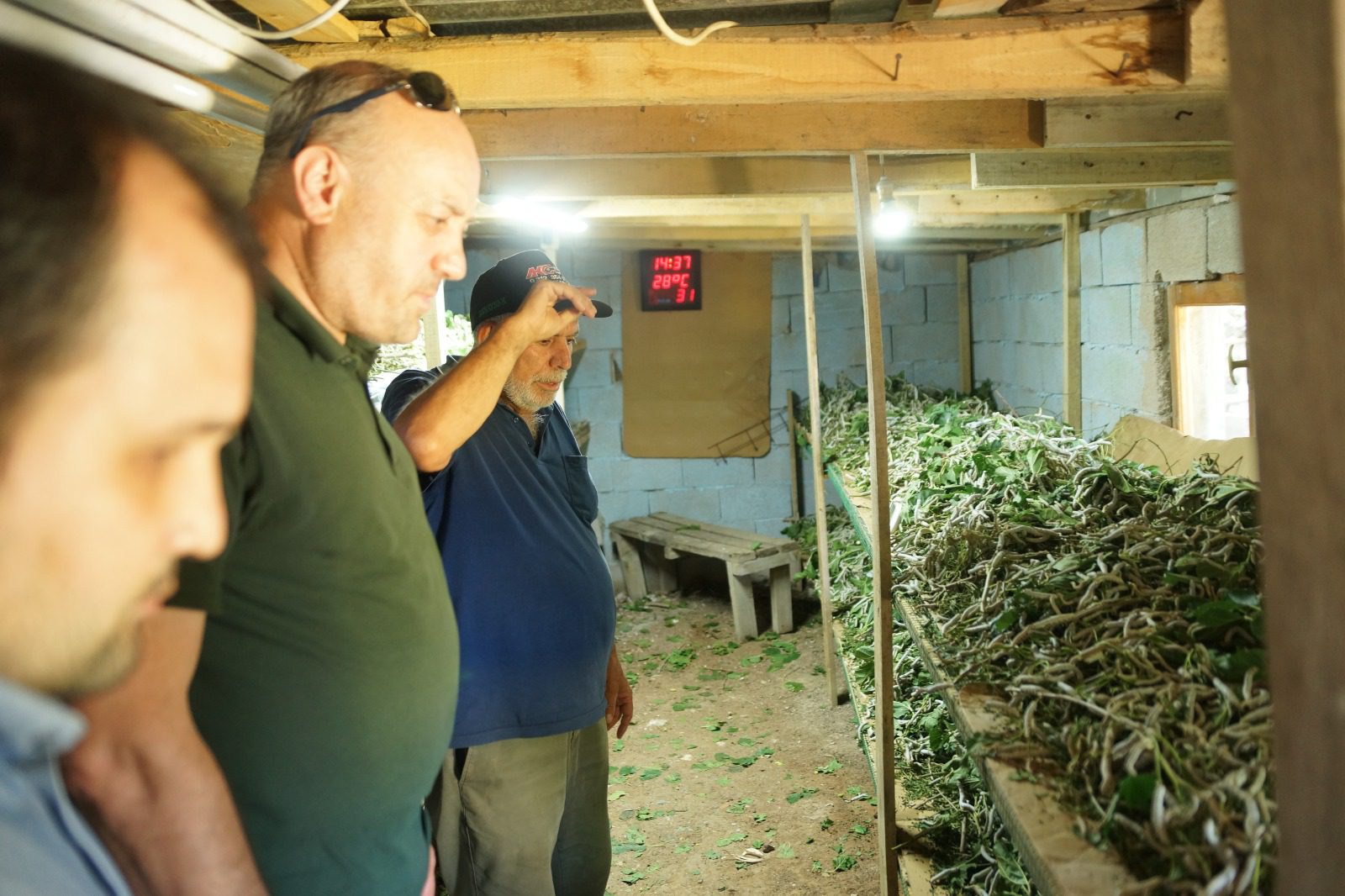 Bahşılı'da İpekböcekçiliğine destek