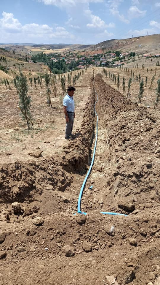 Yeni mezarlıkta ağaçlandırma tamamlandı