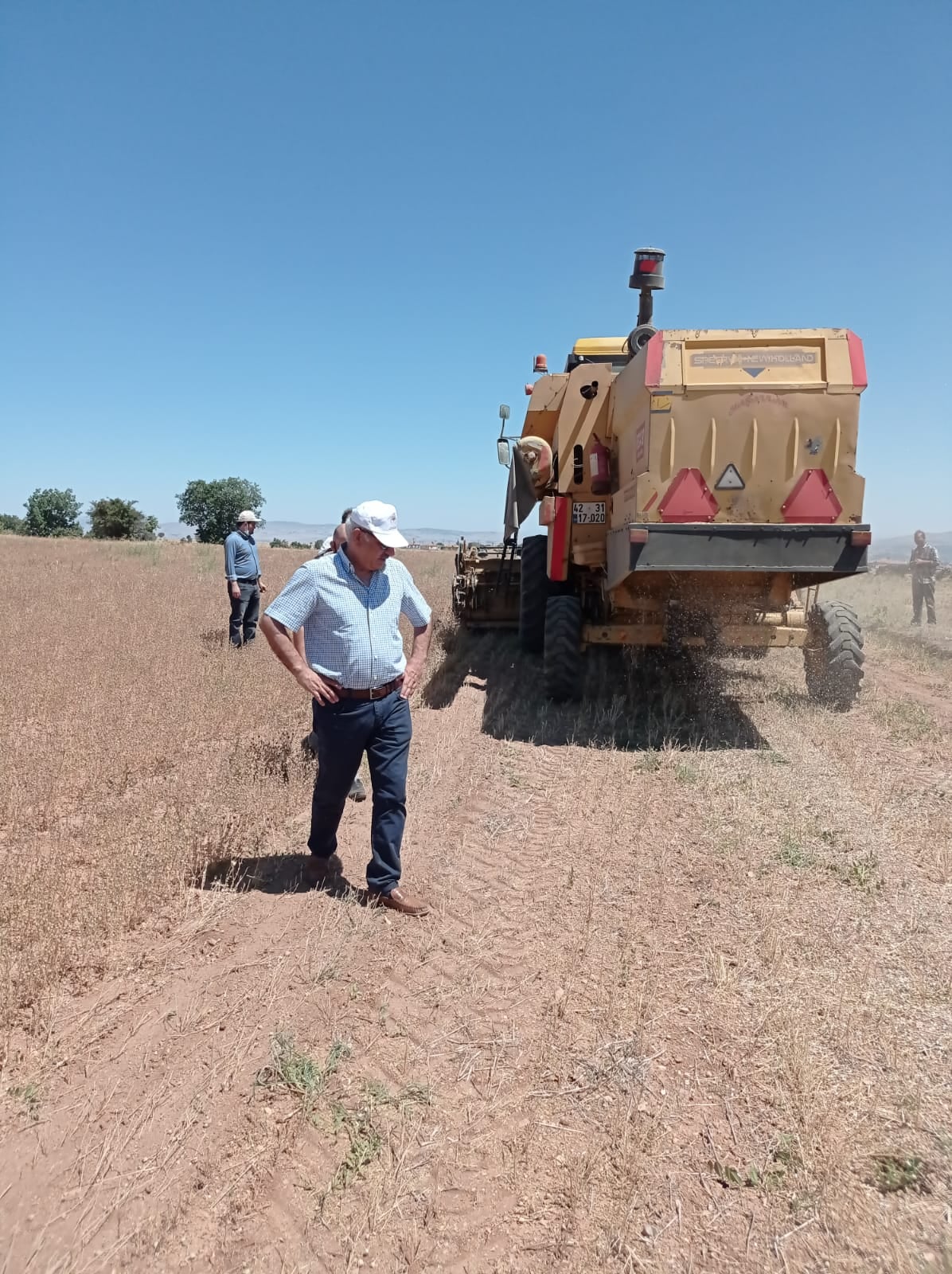 Çörek otu hasadı yapıldı