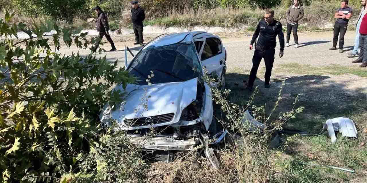 Ağaçlara çarpan otomobilin sürücüsü ağır yaralandı