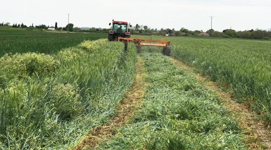 Projeden yararlanmak için geç kalmayın