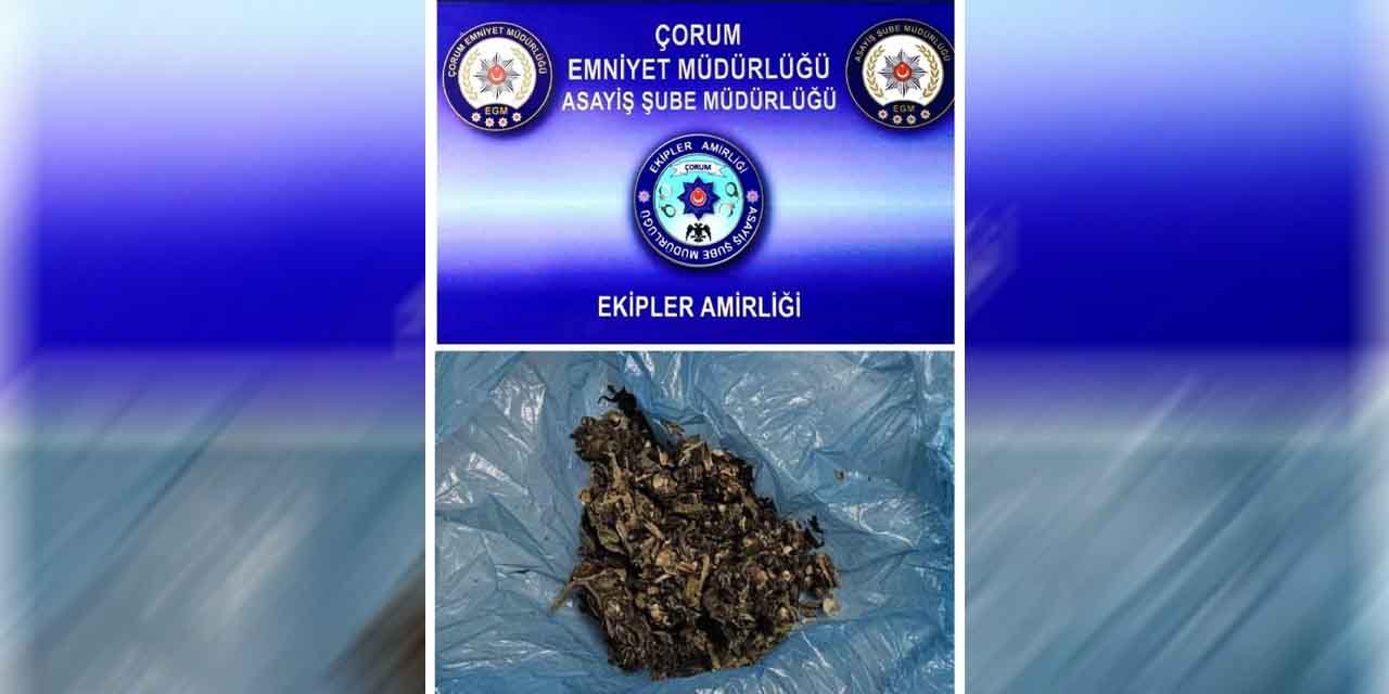 Çorum’da aranan 5 şahıs yakalandı