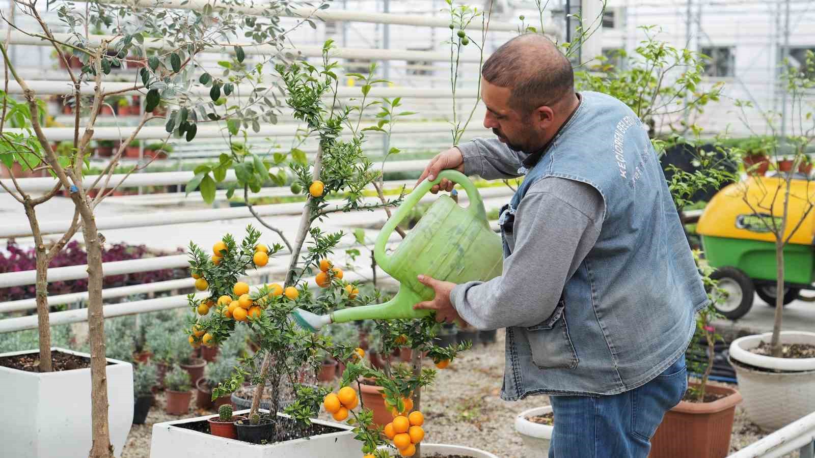 Keçiören Belediyesi’nden bilinçli tarımsal üretim için eğitim veriyor