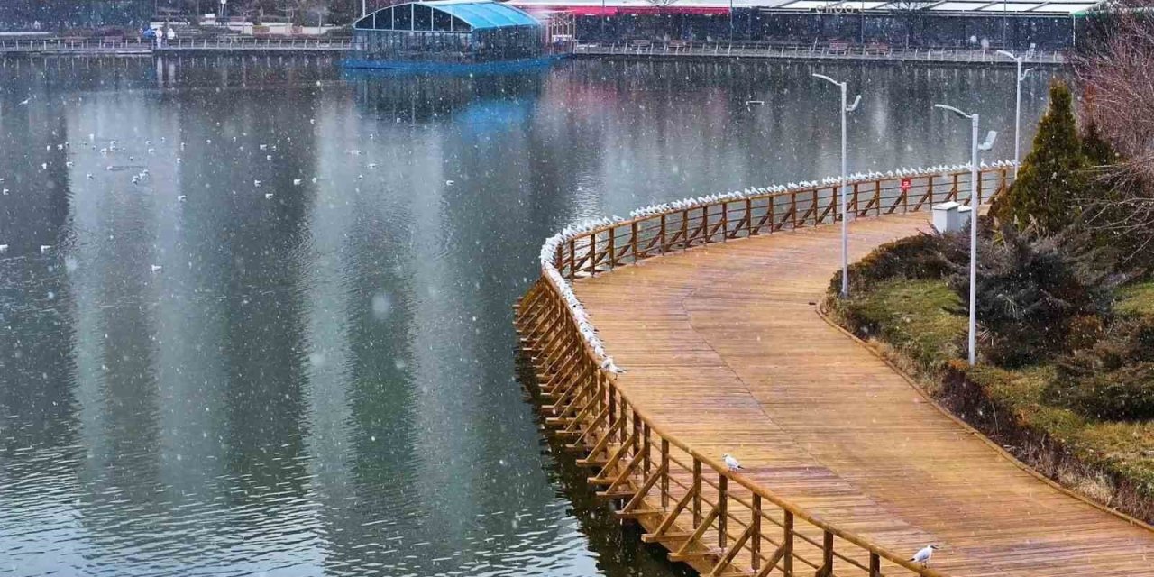 Denizi olmayan şehirde martı şöleni